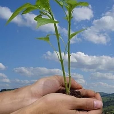 Shamsud05460322's profile picture. 