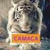 CAMACA (@CAMACA_Campaign) Twitter profile photo