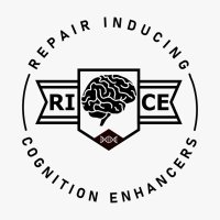 RICE group 🧠🧬🔬(@rice_science) 's Twitter Profile Photo