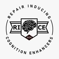 RICE group 🧠🧬🔬 (@rice_science) 's Twitter Profile Photo RICE group 🧠🧬🔬 (@rice_science) 's Twitter Profile Photo