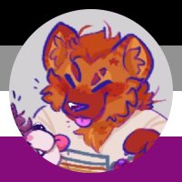 Grapes🇵🇸FOLLOW ON BLUESKY! (@_gracieo_) 's Twitter Profile