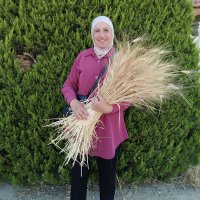 سامية المراشدة (@samyamarashdeh) 's Twitter Profile