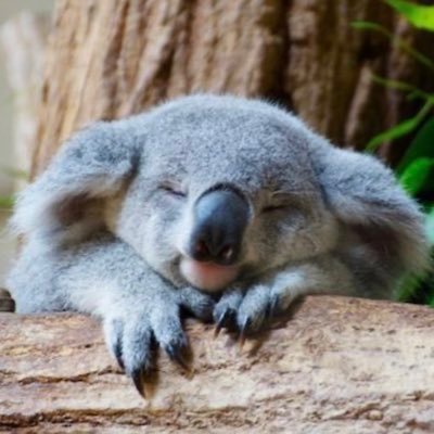 gre9d_'s profile picture. 