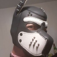 🦊 Fox Pup Ray 🦊 (@foxpupray) Twitter profile photo