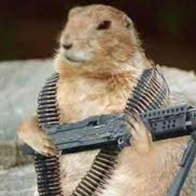 thuneprairiedog's profile picture. I am a humble rodent and apparent deadly threat to SD's Senator Thune. I spend my days watching and warning of dangers created by Republican politicians.