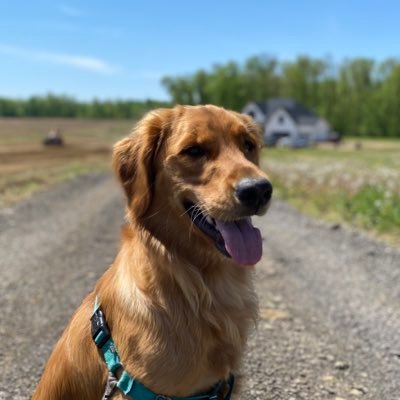 TylerBarta's profile picture. 