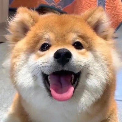 ihourui's profile picture. trading