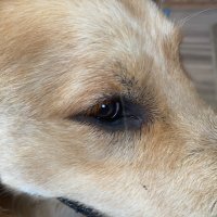 🇨🇦Dylan🇺🇸 (@operatorcoffee1) 's Twitter Profile