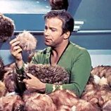Tribble (@jtkirkstribble) 's Twitter Profile