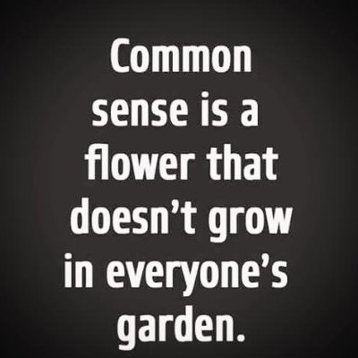 MNStormAhead's profile picture. Tired of political establishment. Starting over on Twitter. 2nd Amendment. Mind Your Own Business. America First. Constitution - yes, we have one, follow it