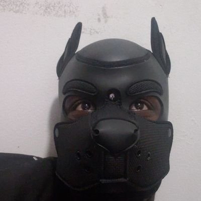 Atl account.
Probably the grumpiest pup ever
Furry and bunch of other shit like
🔞no minors🔞