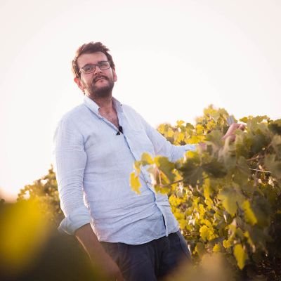 MALTESE wine cellar Owner & Vigneron; 
Wine Taster Councus Mondial 
and oder... 🍷