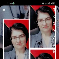 Serap Gecko (@geckoserap) 's Twitter Profile