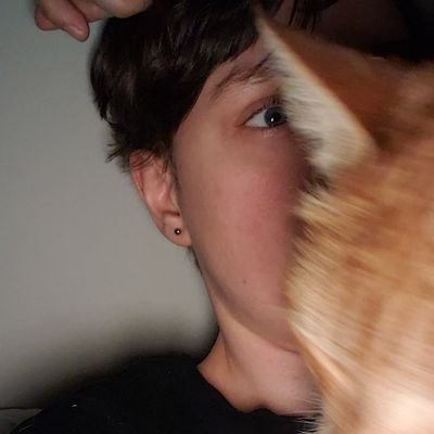 28 || staff for: @gamesdonequick @ladyarcaders || Al'rht Tisdk - Cactuar || @_swooce uwu || parking lots! || opinions my own⢠|| they/any šŗšøš·š“