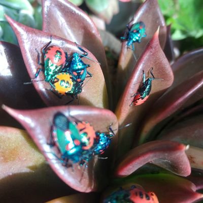 RosaMyriamMedi1's profile picture. La fé evita la necesidad de pensar