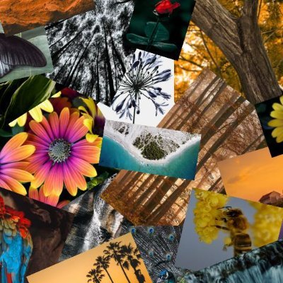 Sales so far = 0
Excellent quality canvas images Personalisation available upon request Use code CANVAS10 for 10% discount Need something unique, just message