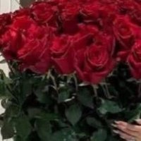 هاء (@htenmh) 's Twitter Profile