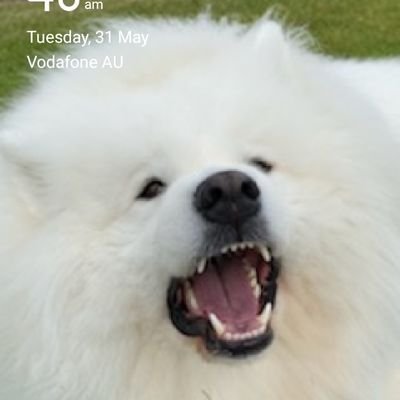 Chemistry1000's profile picture. I love animals.