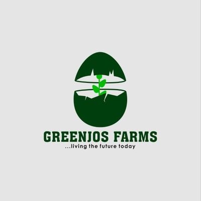 Nature lover, Farmer, Agribusiness consultant, CEO GreenJos Farms and GreenJos Pets N Care.

Email: mr.greenjos@gmail.com
Phone number: 07058131210