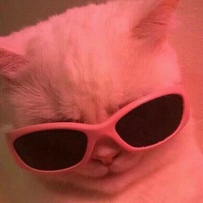 Novo Twitter, não muito diferente do antigo, aqui vc só encontrará reclamações.
