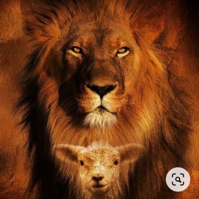 VuelveLibertad's profile picture. Vida, Propiedad y Libertad