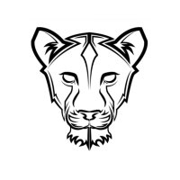 Lioness Justice Impacted Women’s Alliance (@lionessjiwa) 's Twitter Profile