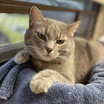 NoelBowen17's profile picture. happy to see you all!!!!! 음화화