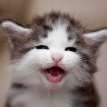 bifutekimodoki's profile picture. 🩵許しは自分を癒すこと…🩵健康ヲタ…🩵健康食自炊ヲタ…💛ドルヲタ卒業…🩵憲法改正反対…🩵無所属連合…「まぁ…いいか…」ニコニコ🩵…( ´_ゝ`)🩵