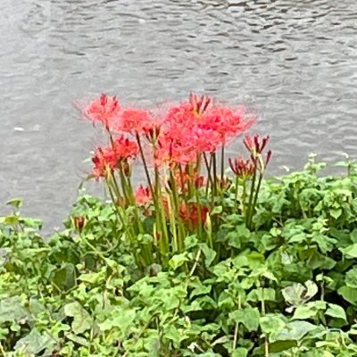 AGe5b's profile picture. 