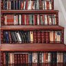 LiteraryRepost's profile picture. Supporting the #WritingCommunity by reposting book publication news, great reviews, nominations & awards, and new work in journals, magazines & anthologies.