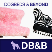 DogBedsBeyond's profile picture. The cutest dog beds at fantastic prices!