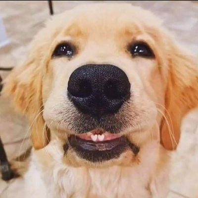 ByambaaHs's profile picture. Хөгжим, сонирхолтой зүйлсийг сонирхогч
