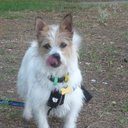 Mark Power - @markpower78 - Twitter