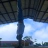 FabinDulce1's profile picture. Enfermero -Universidad del Cauca, Calistenia 🤸