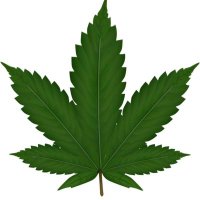WEED N SNACKS 🍃🥨 (@weednsnacks) 's Twitter Profile Photo WEED N SNACKS 🍃🥨 (@weednsnacks) 's Twitter Profile Photo