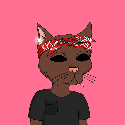 rashadjonez's profile picture. 