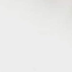 utangutanaako's profile picture. 