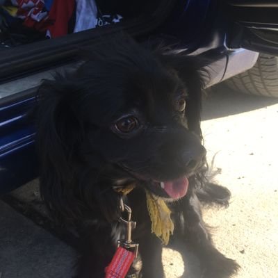 Lilxunknown's profile picture. 