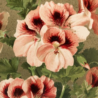 tablelamp994's profile picture. 