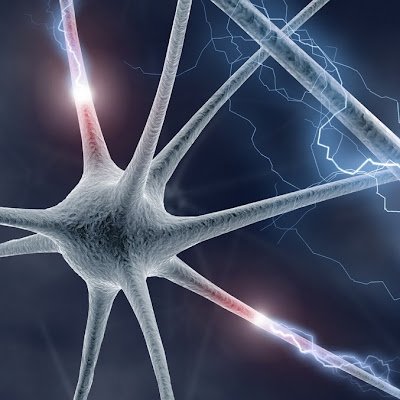 Neurodynamics1's profile picture. 