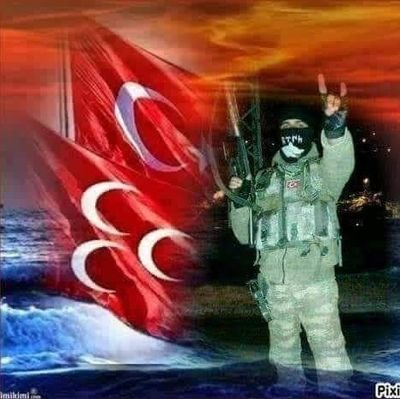 Türk milliyetcisi