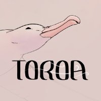 Toroa: Skycall ☁️🌊 wishlist on steam! (@toroagame) 's Twitter Profile