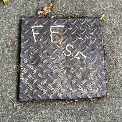 fsquared's profile picture. Coffee goes in, words come out. Crass enough to care. She/her. ¡No pasarán!