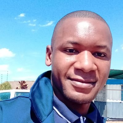 ChibombaK's profile picture. Lion King.