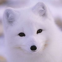 wwwwww (@diqwix30) 's Twitter Profile