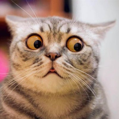 tonny1258's profile picture. 