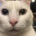 Andresito_pepe (@andres2324267) Twitter profile photo Andresito_pepe (@andres2324267) Twitter profile photo