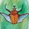_yellowbtl's profile picture. Beetle | traditional illustrator | nature enthusiast| 🌿
ig@themarchingbeetle
