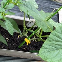 な (@ryouji0617) 's Twitter Profile Photo