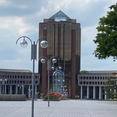 HACHIOUjiTUT's profile picture. 元TUT